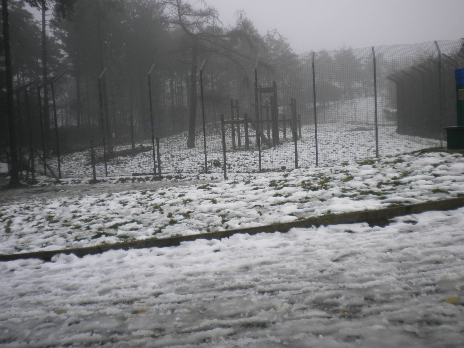 Tiger Falls-27/12/10.