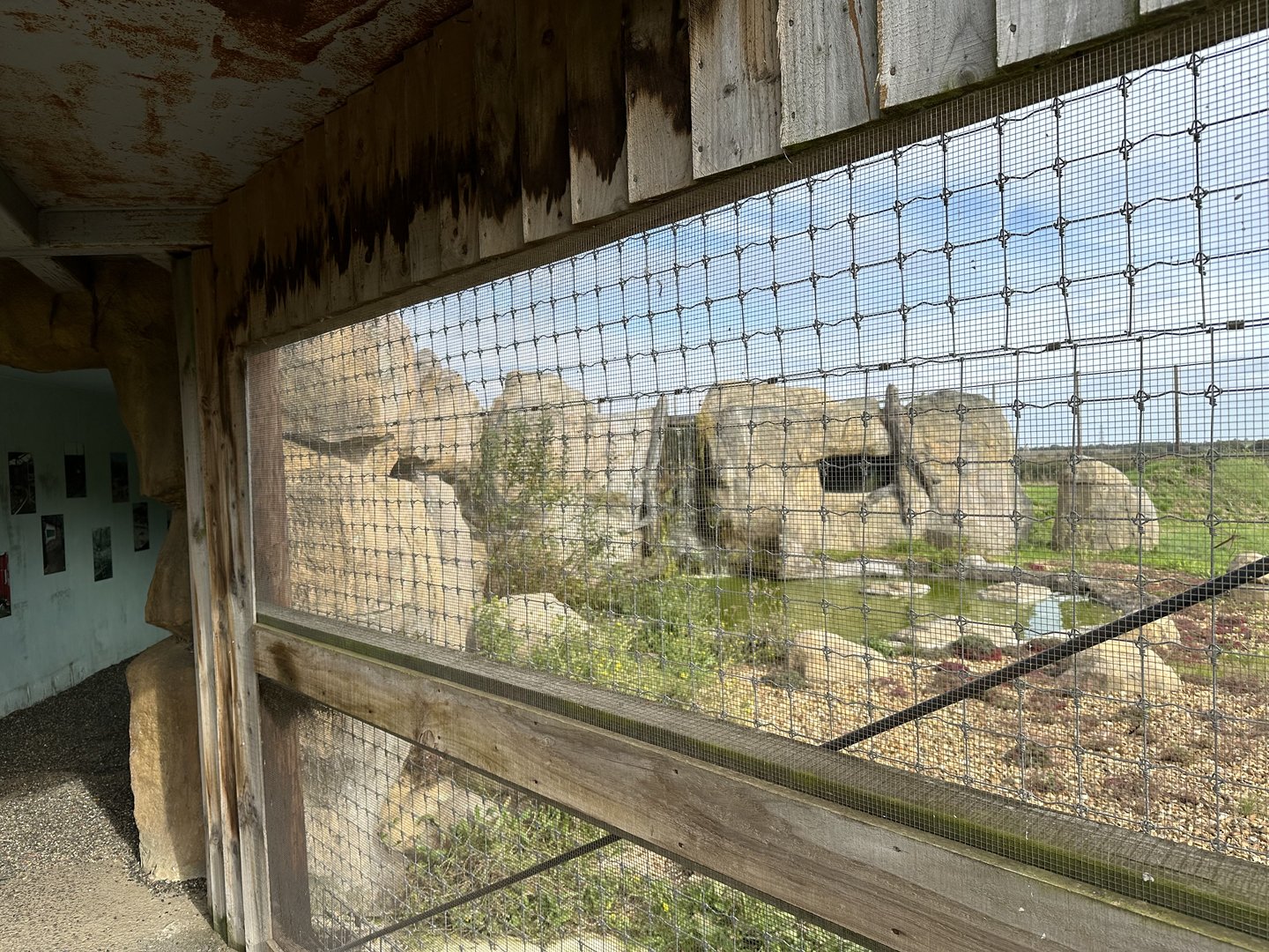 Tiger Falls at Hamerton Zoo Park (October 2023)