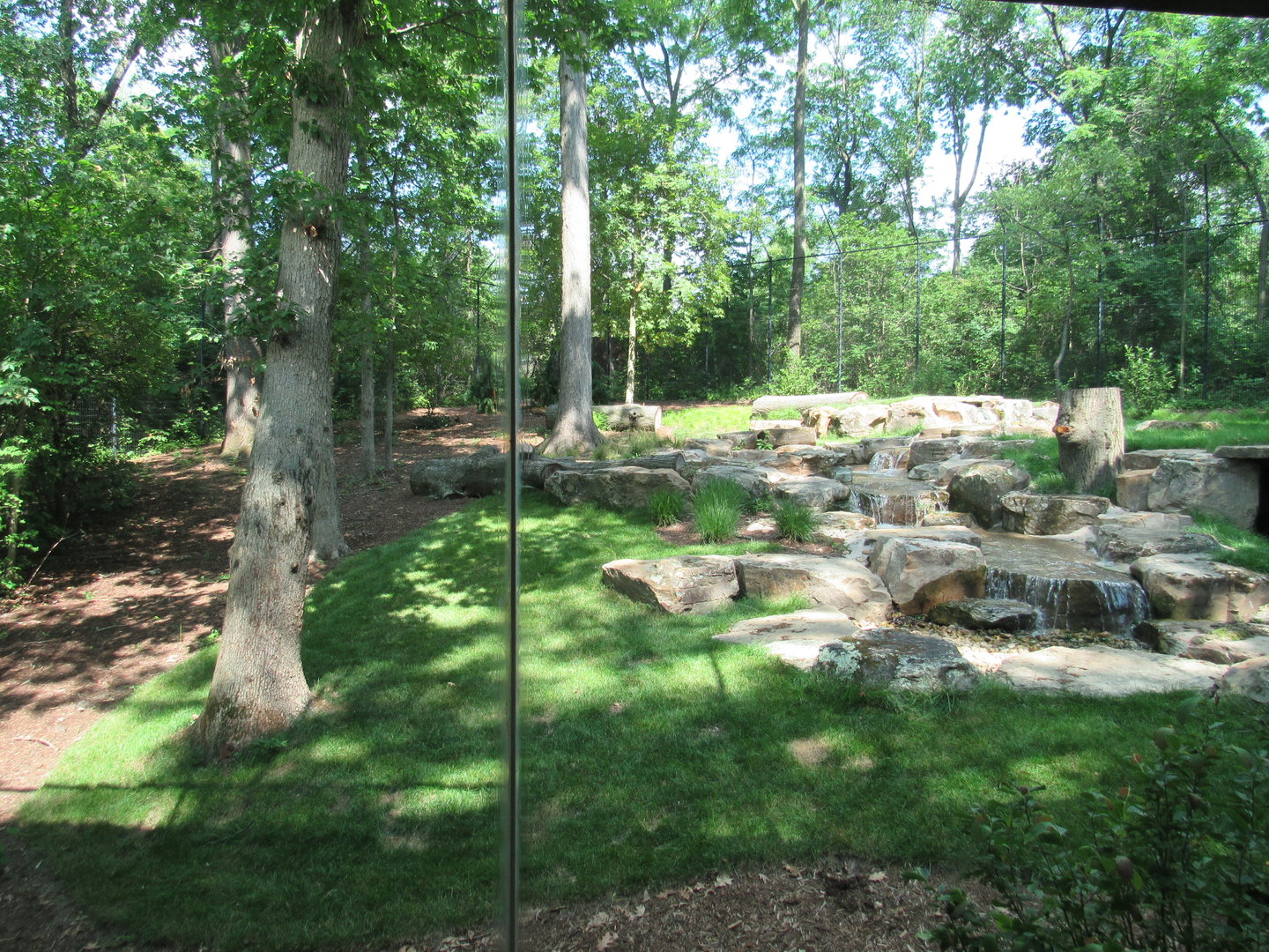 Tiger Forest, Indonesian Rainforest (Renovated in 2023)