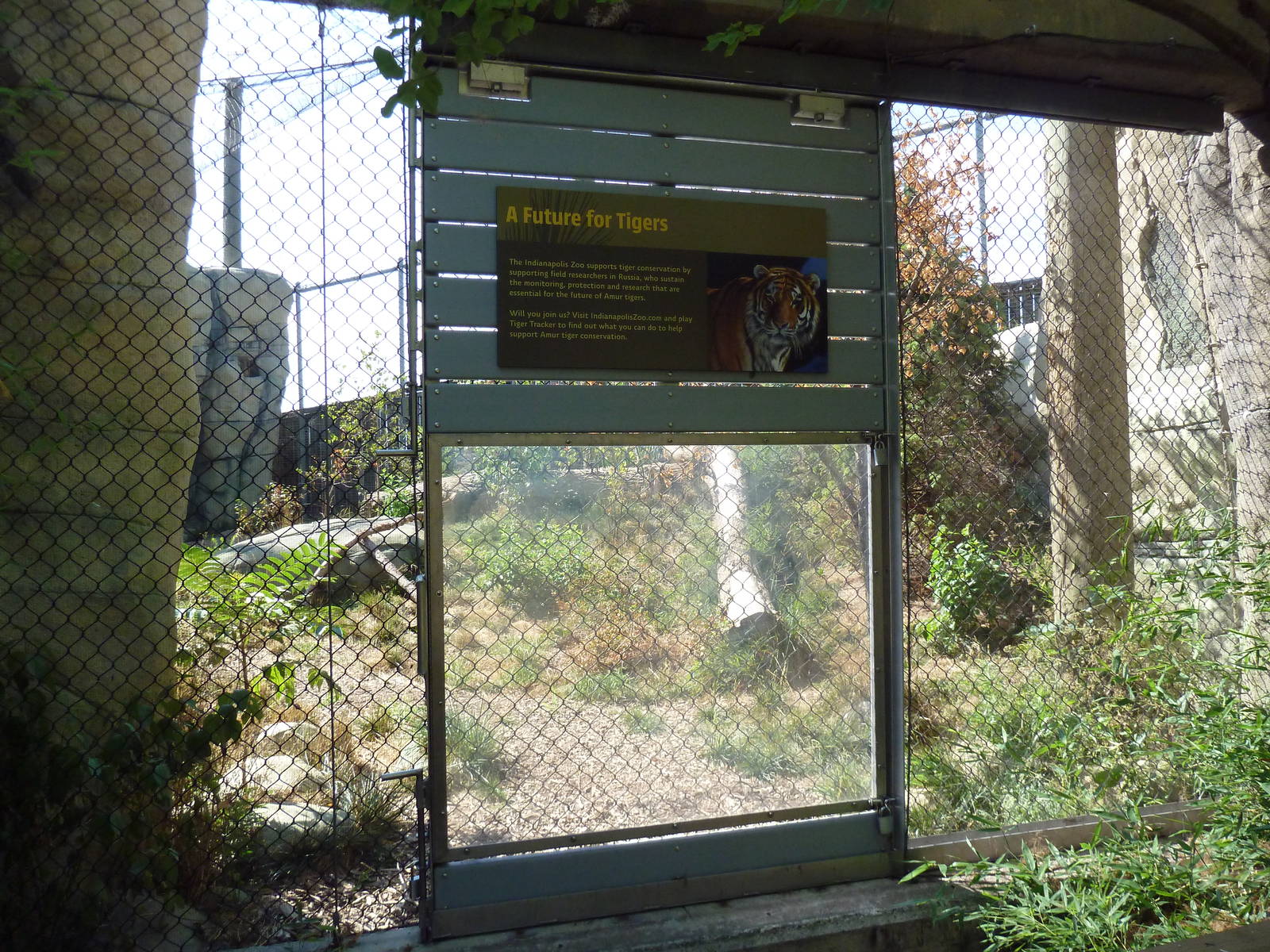 Tiger Forest - Training Wall