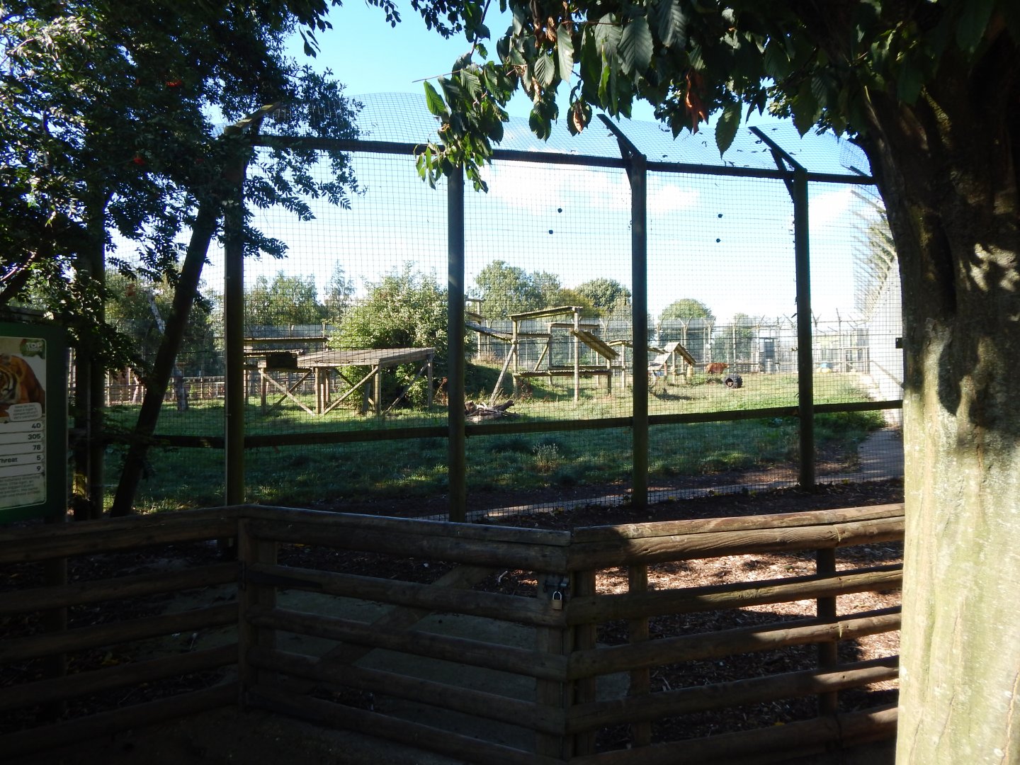 Tiger habitat 030924