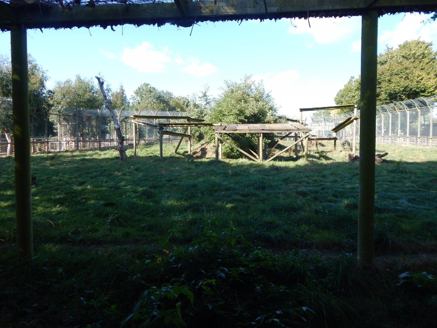 Tiger habitat 030924