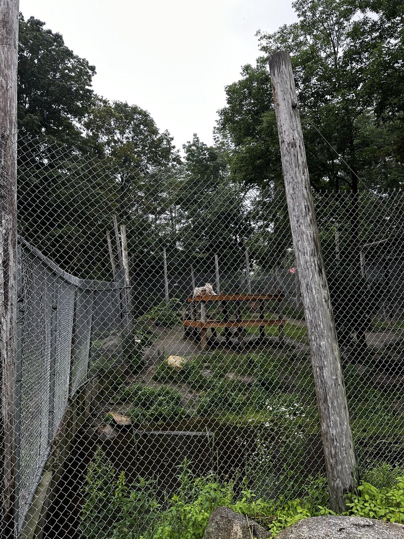 Tiger Habitat (2)