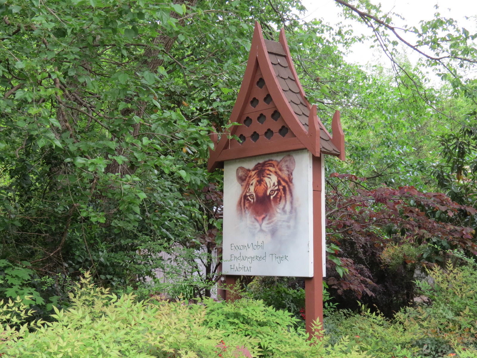 Tiger Habitat - Sumatran Tiger Exhibit Sign