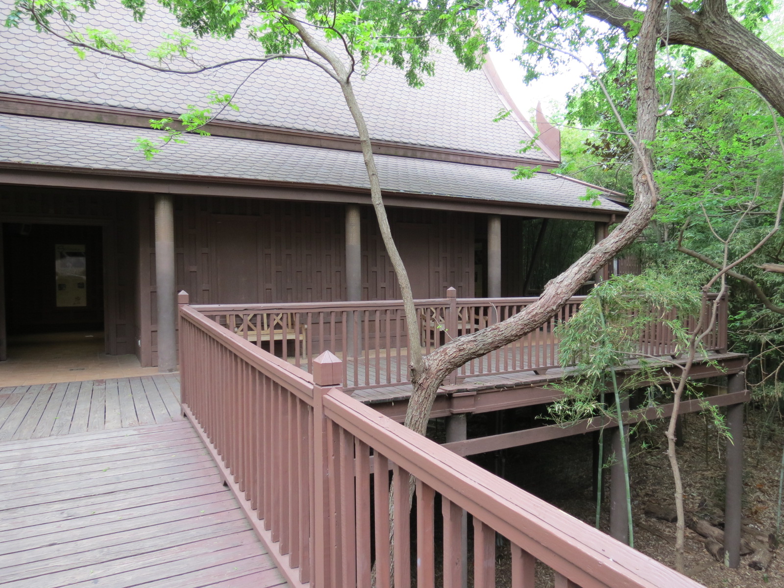 Tiger Habitat - Sumatran Tiger Exhibit Viewing Pavilion