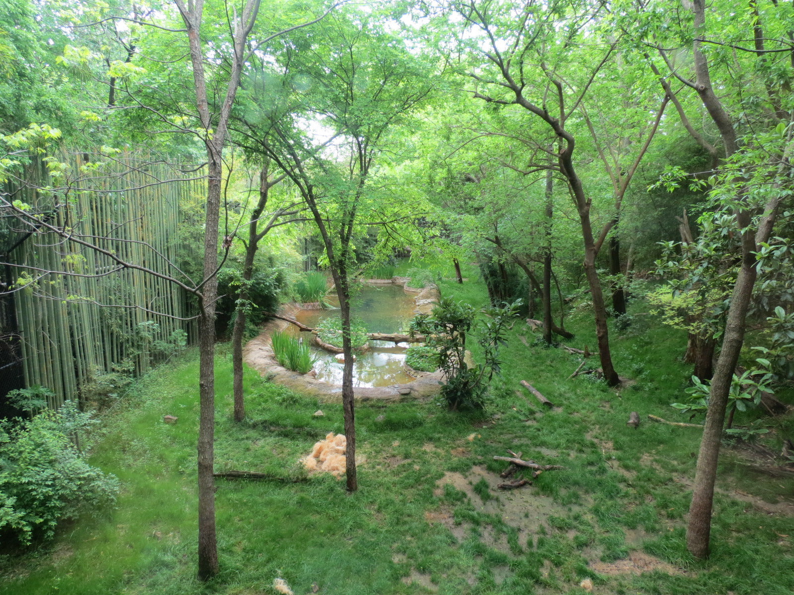Tiger Habitat - Sumatran Tiger Exhibit