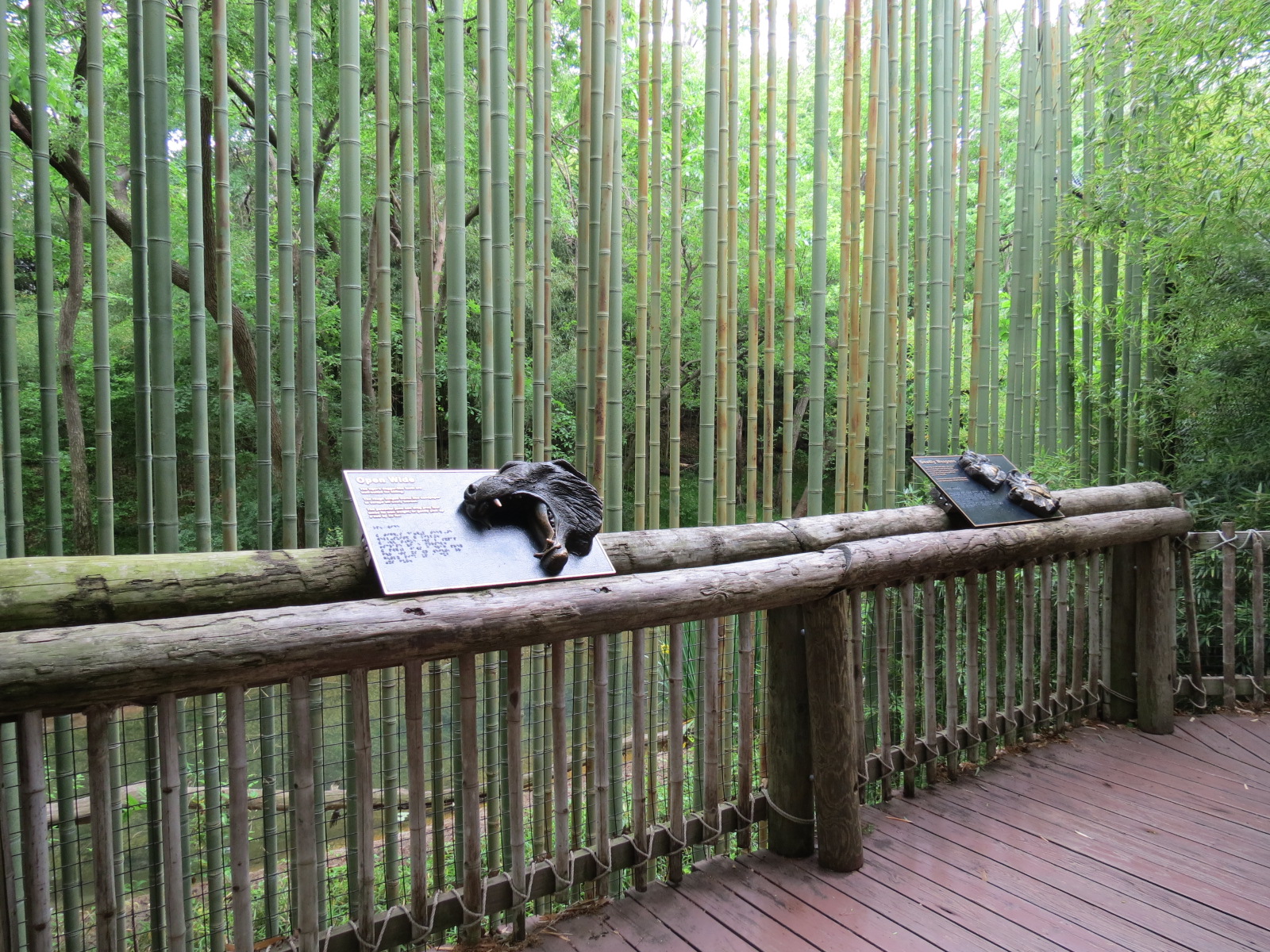 Tiger Habitat - Sumatran Tiger Exhibit