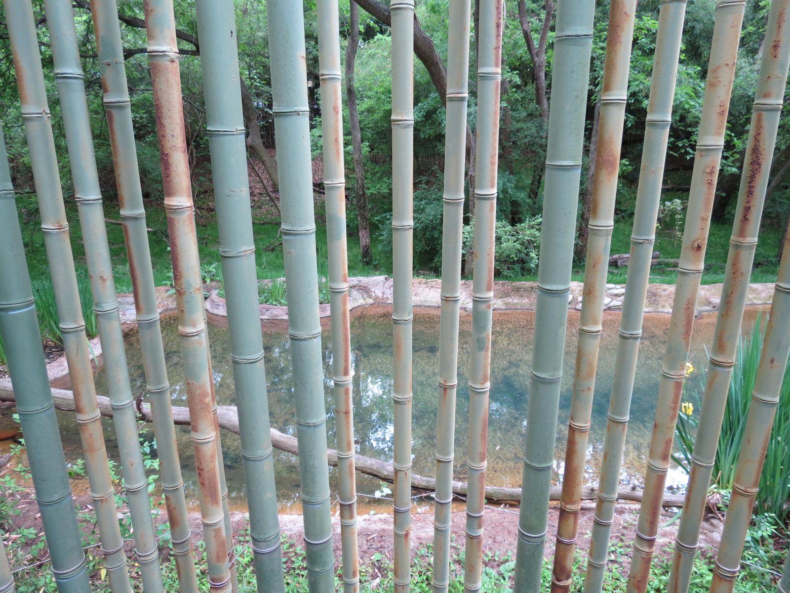 Tiger Habitat - Sumatran Tiger Exhibit
