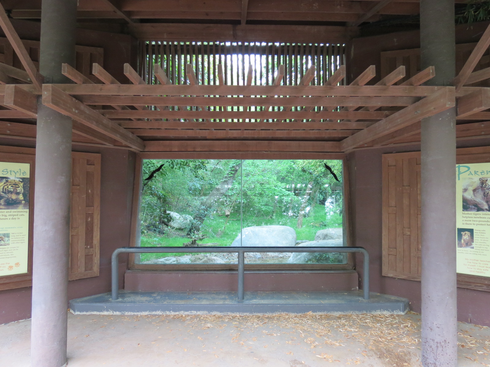 Tiger Habitat - Sumatran Tiger Exhibit