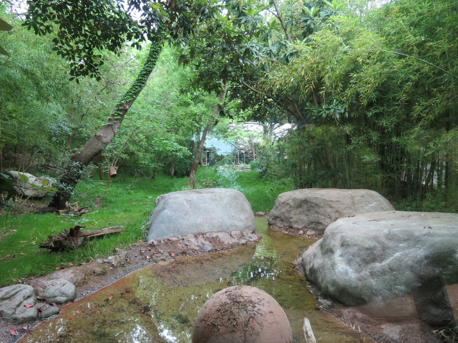 Tiger Habitat - Sumatran Tiger Exhibit
