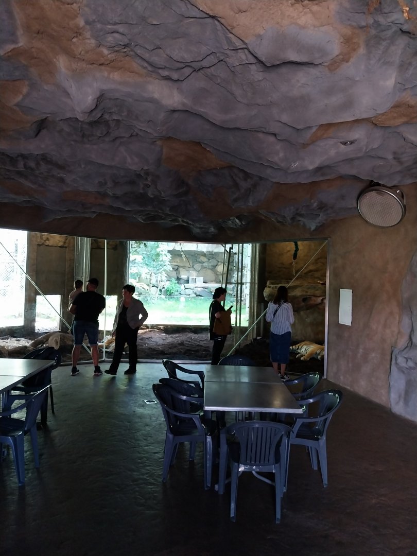 Tiger Höhle visitor's space