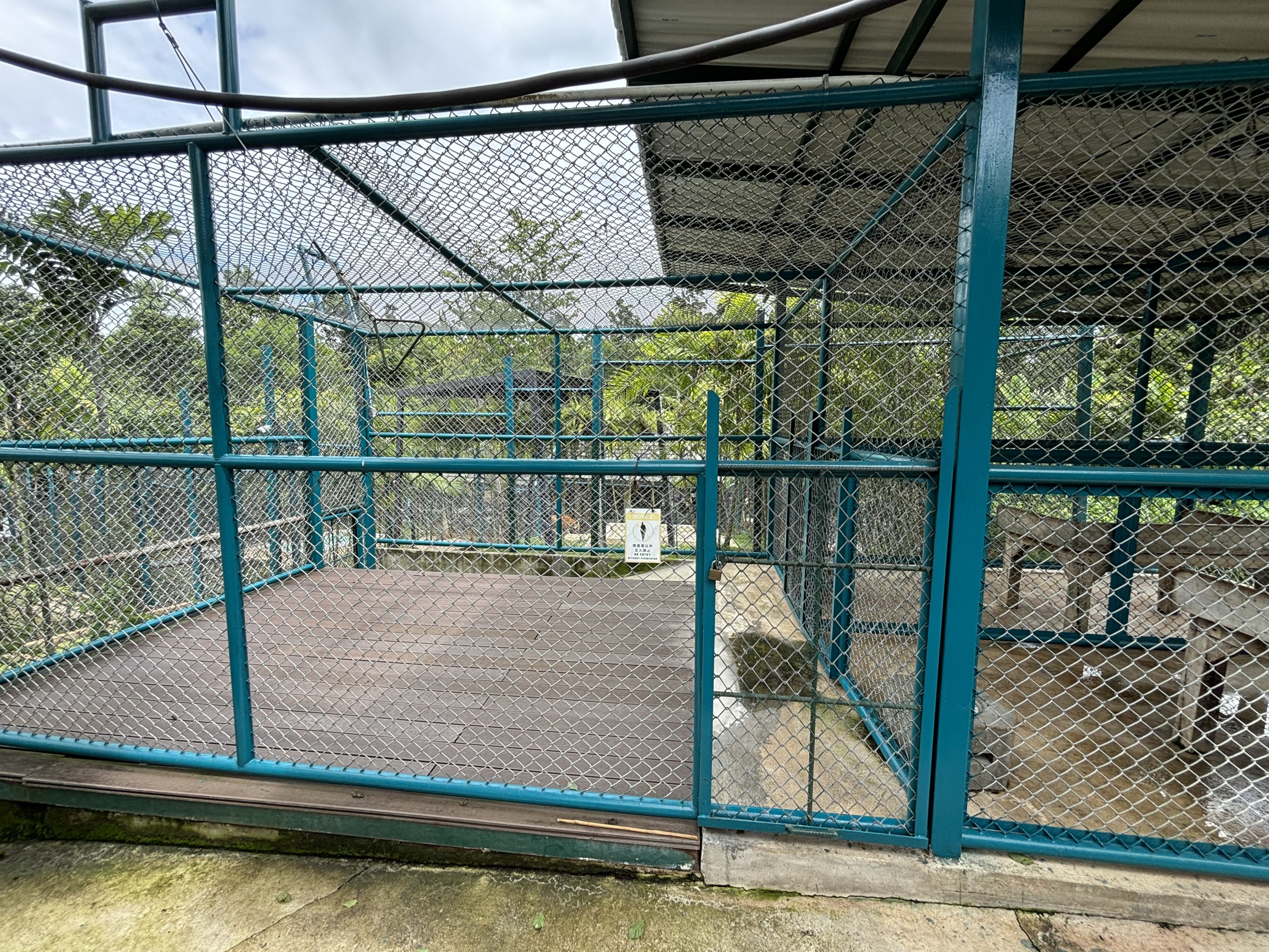 Tiger Holding Area - with outdoor access