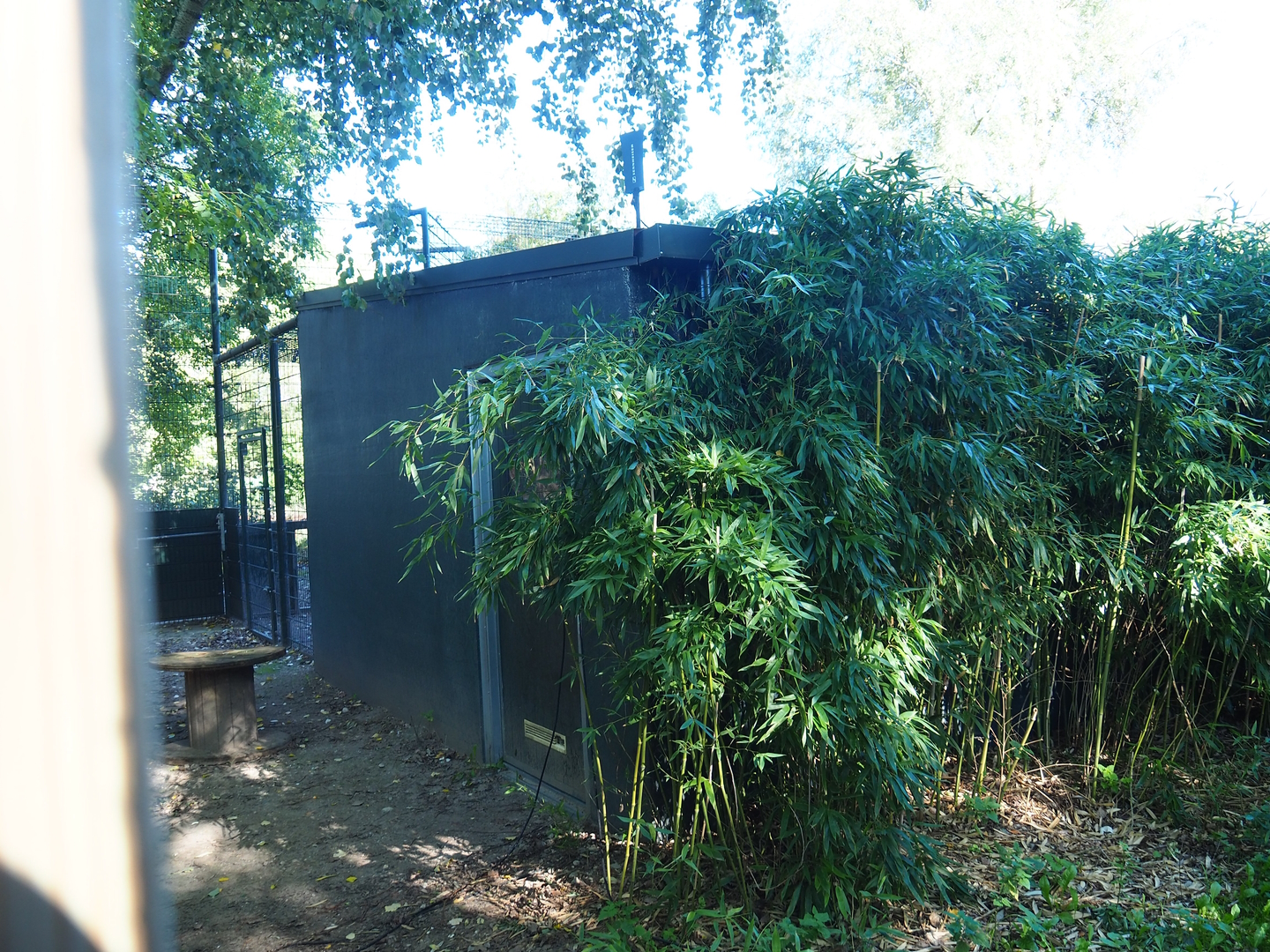 Tiger holding building, 2022-10-09