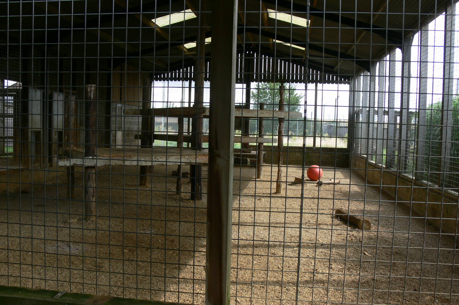 Tiger House at Hamerton Zoo, 23/08/14