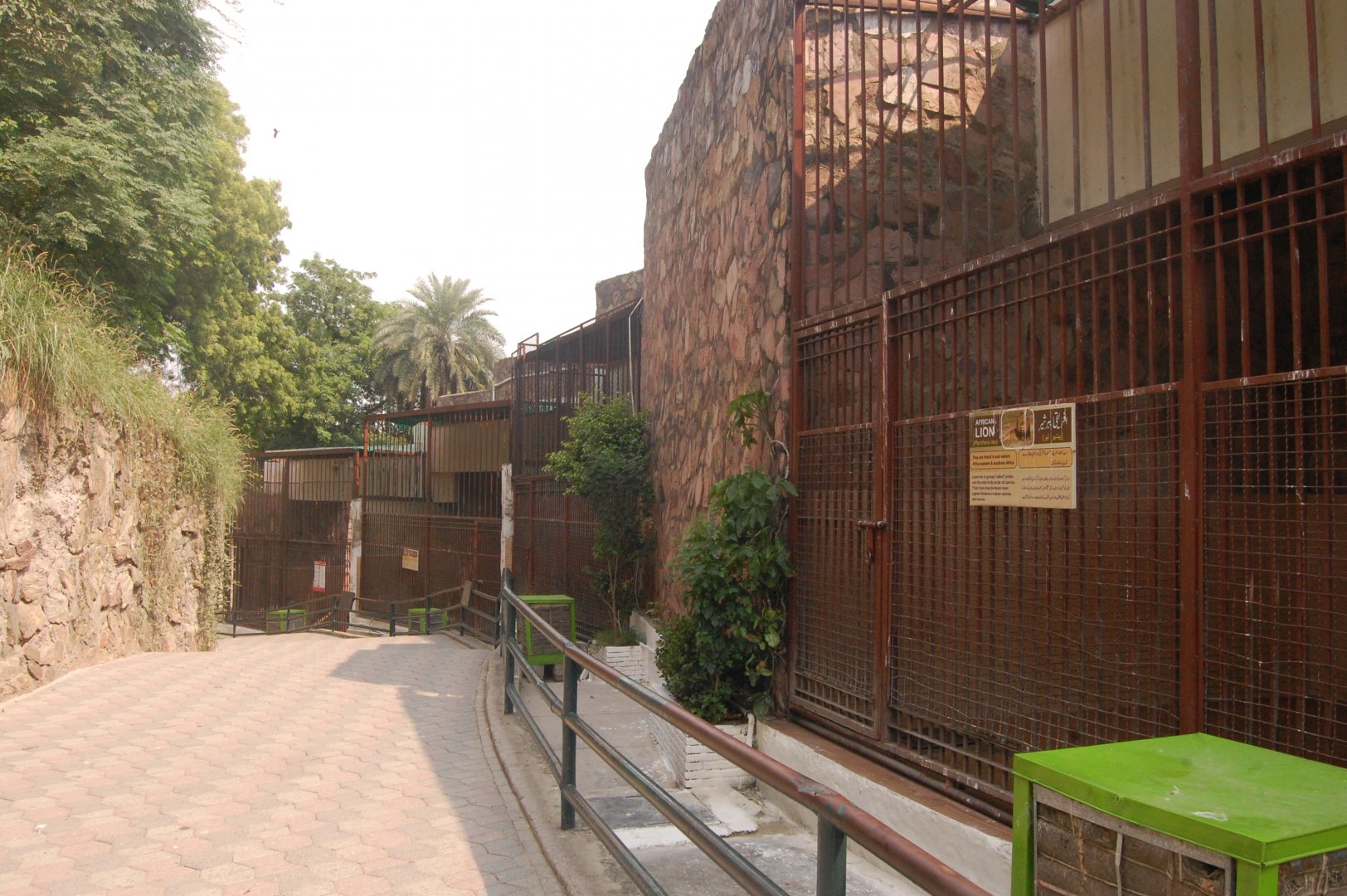 Tiger house holding pens - Lahore zoo 8/9/2021