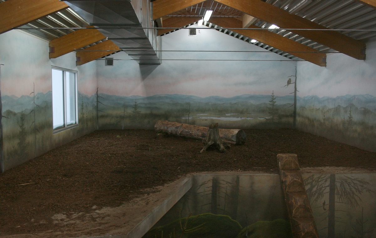 Tiger house interior - Orsa Bearpark