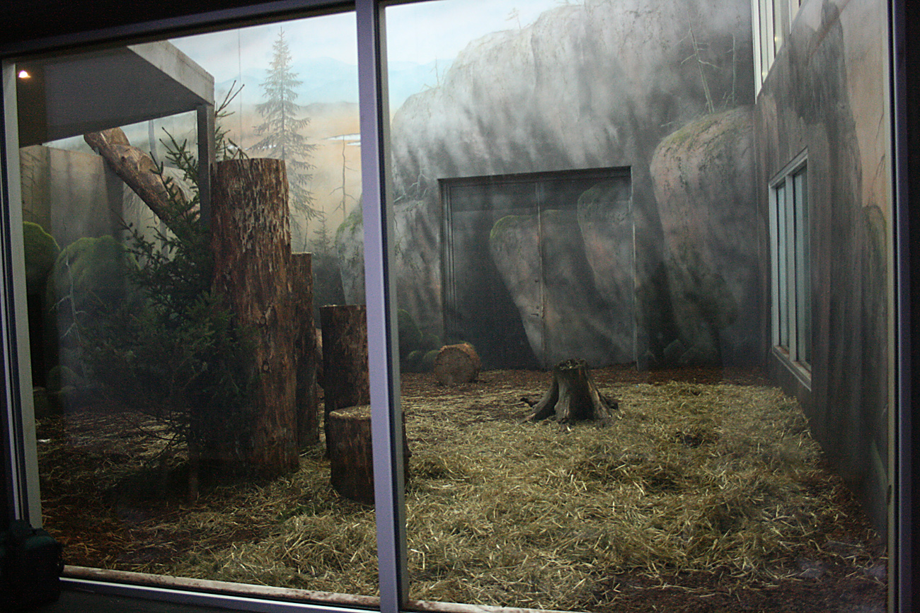 Tiger house interior - Orsa Bearpark