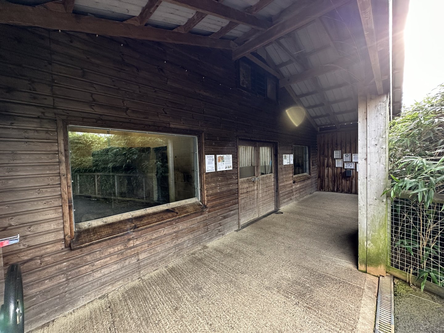 Tiger House Viewing Area at Hamerton Zoo Park (October 2023)