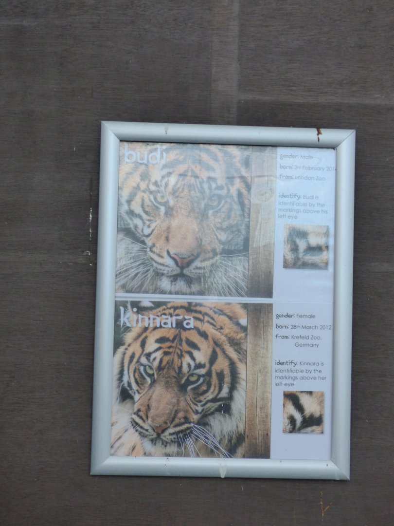 Tiger Identification Signage