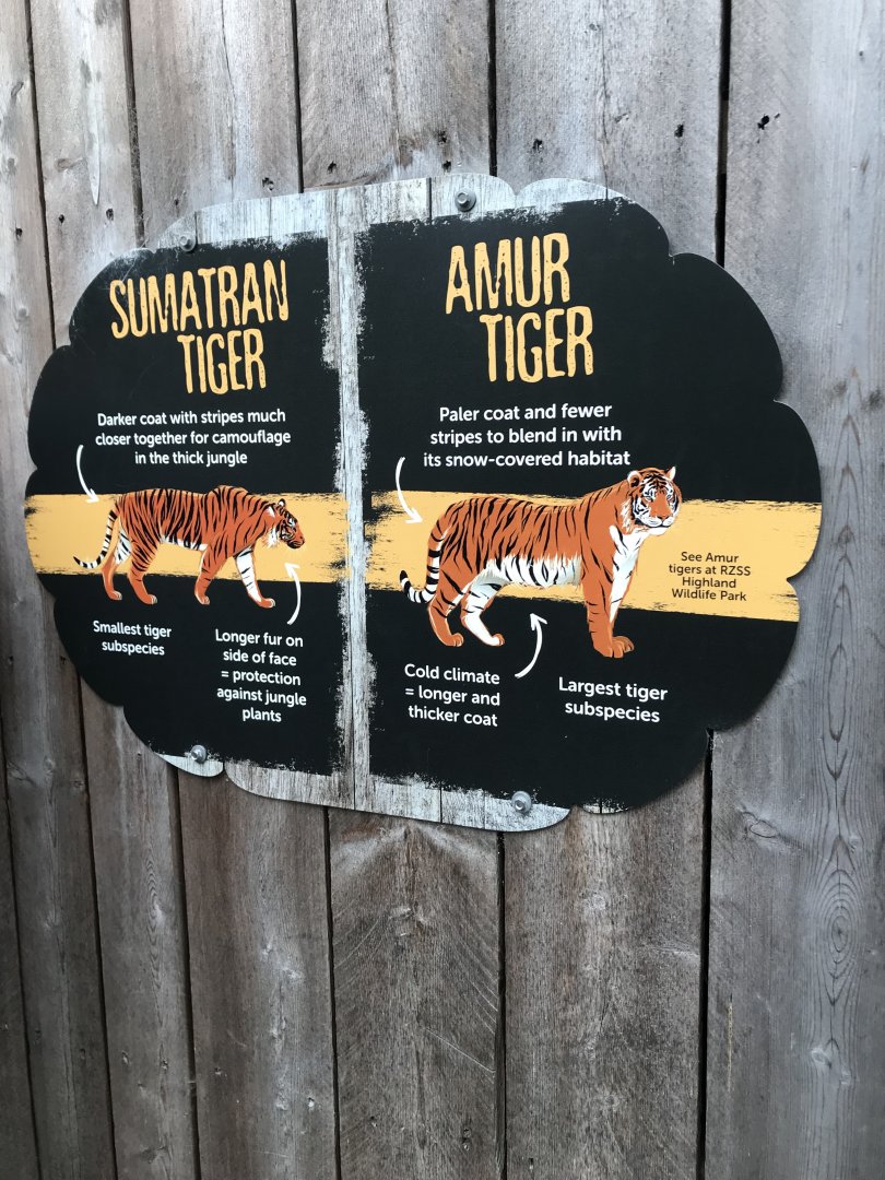 Tiger identification signage