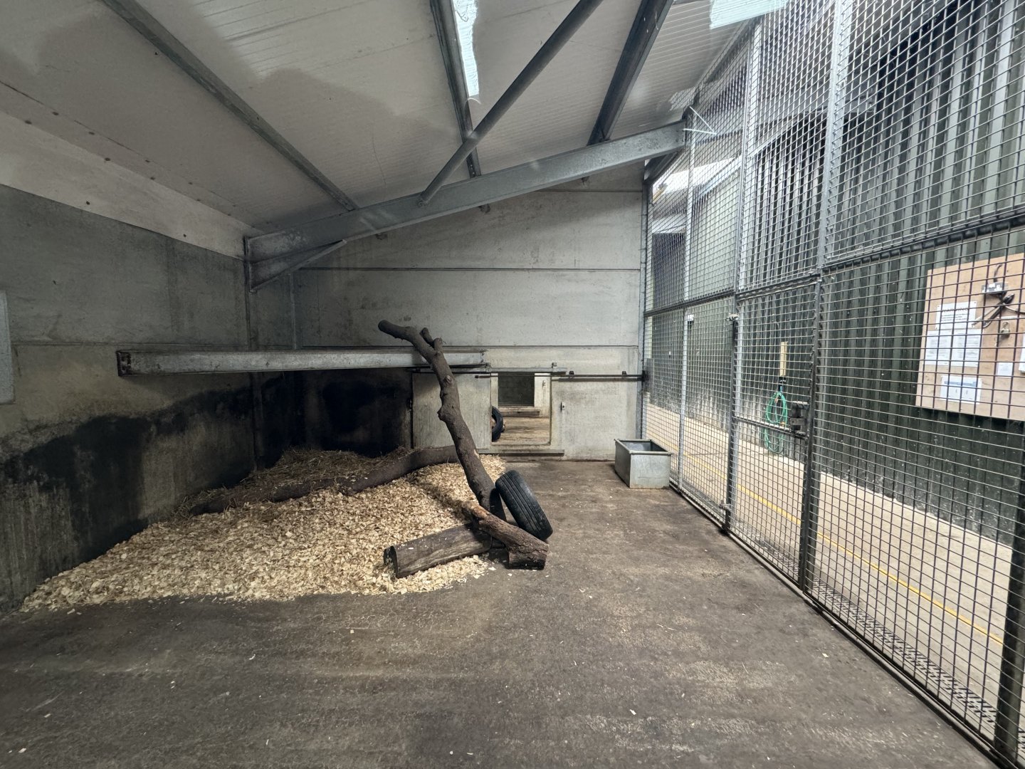 Tiger Indoor Enclosure at Woodside Wildlife Park (May 2024)