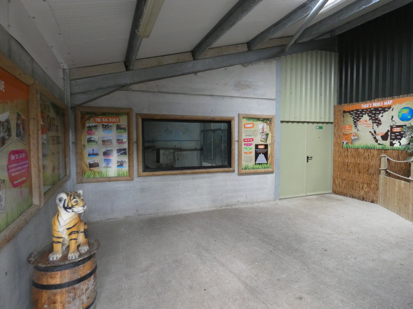 Tiger indoor viewing area
