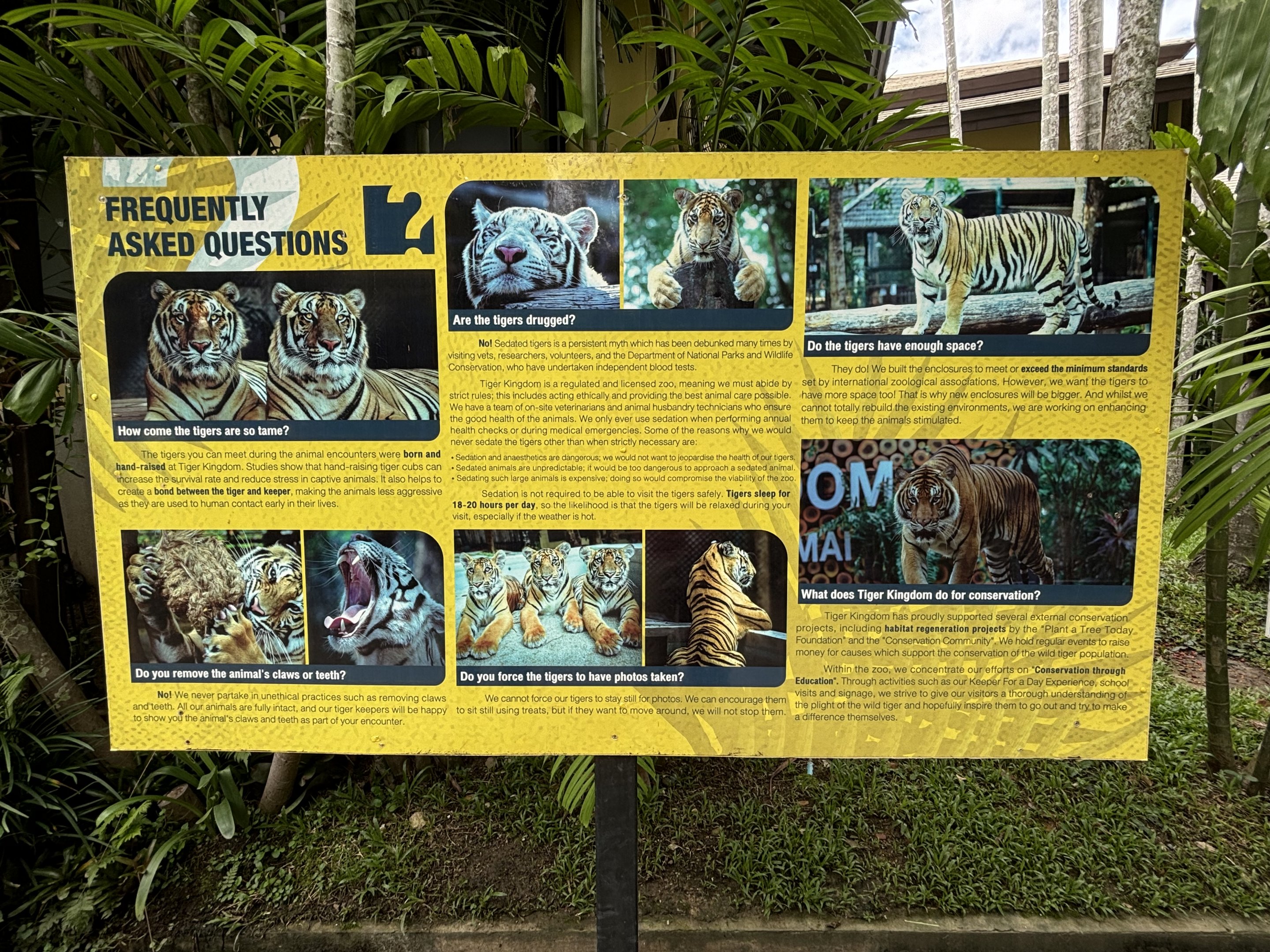 Tiger Information Sign
