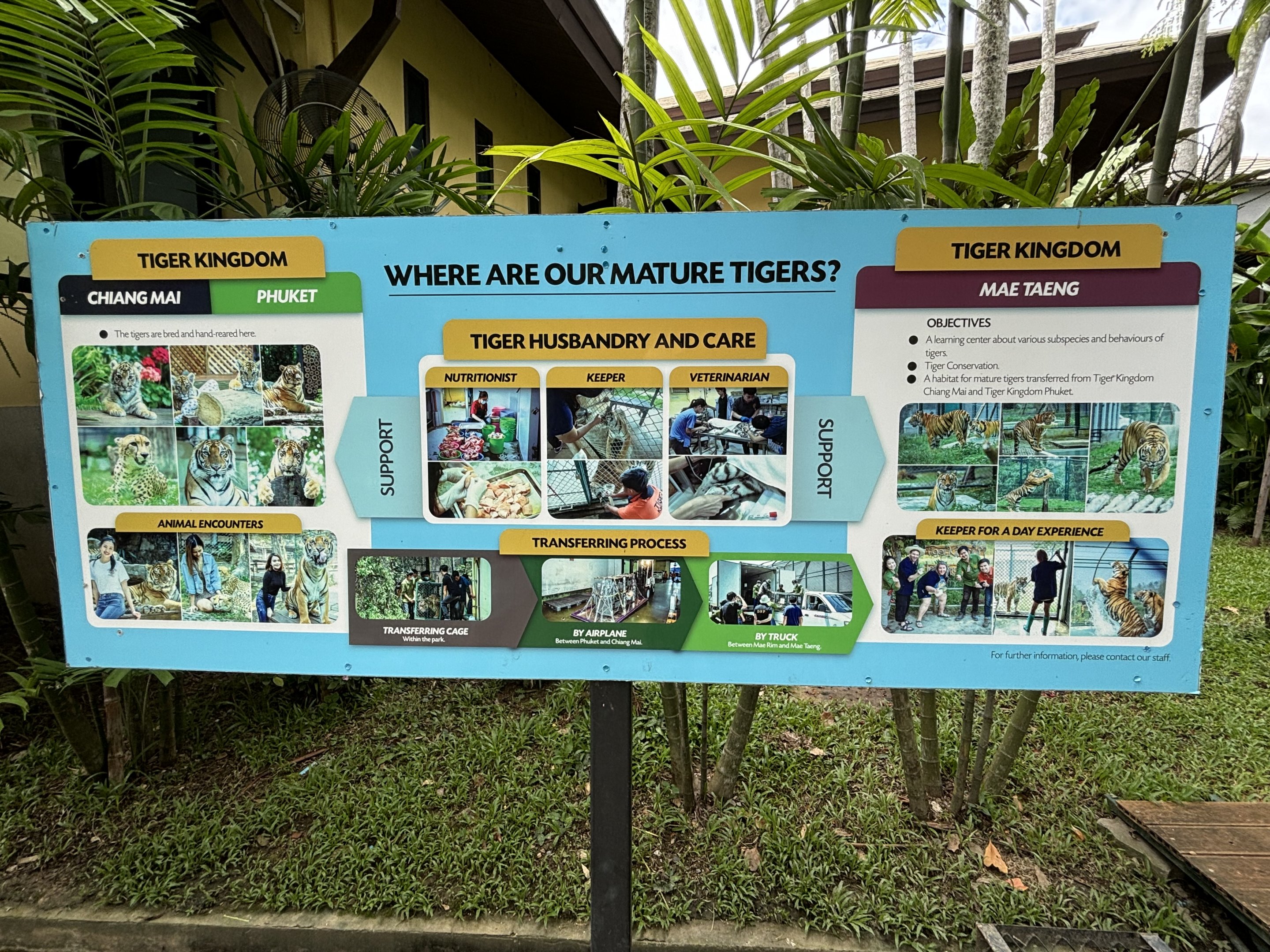 Tiger Information Sign