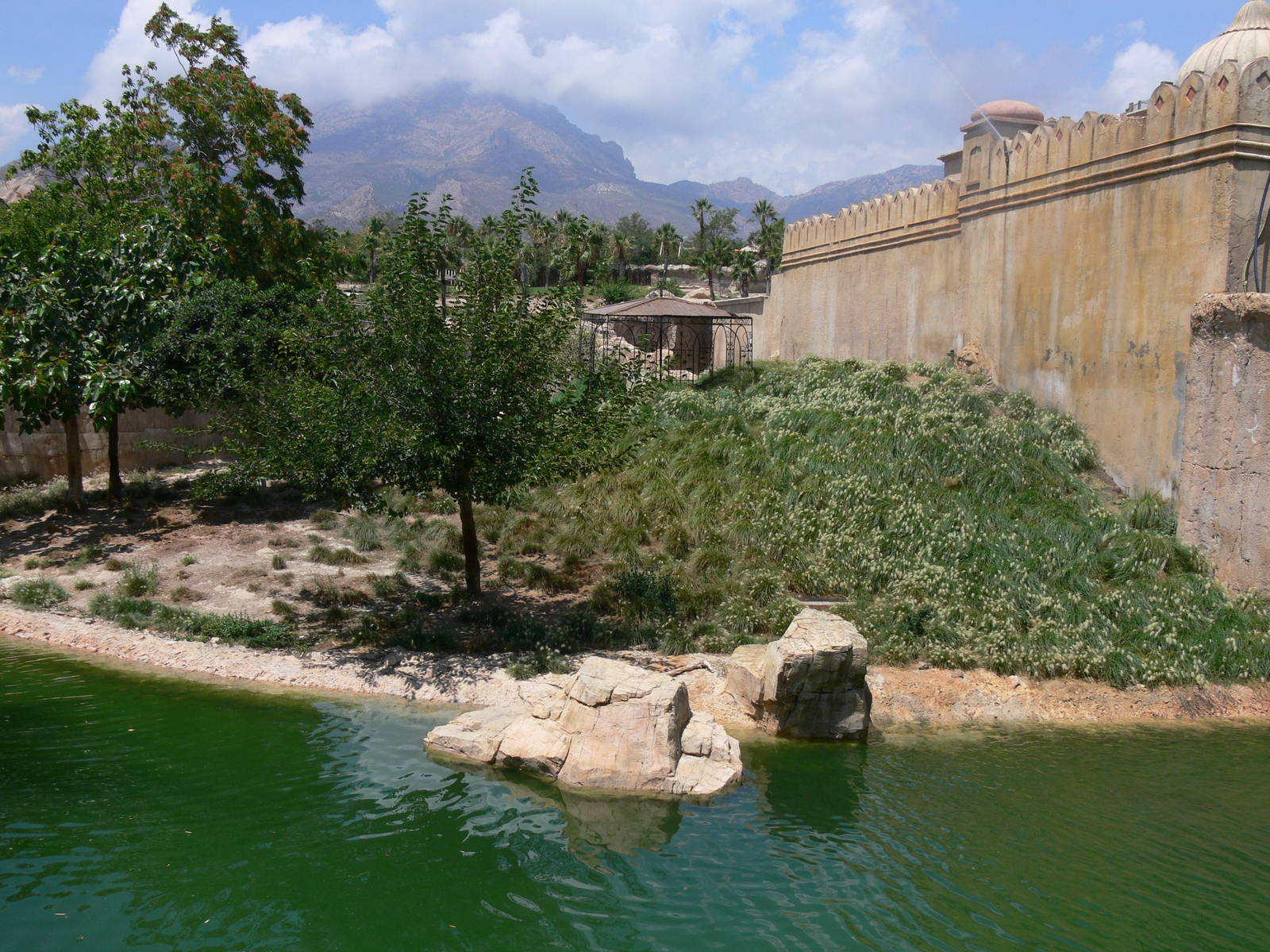 Tiger Island at Terra Natura, 03/08/14