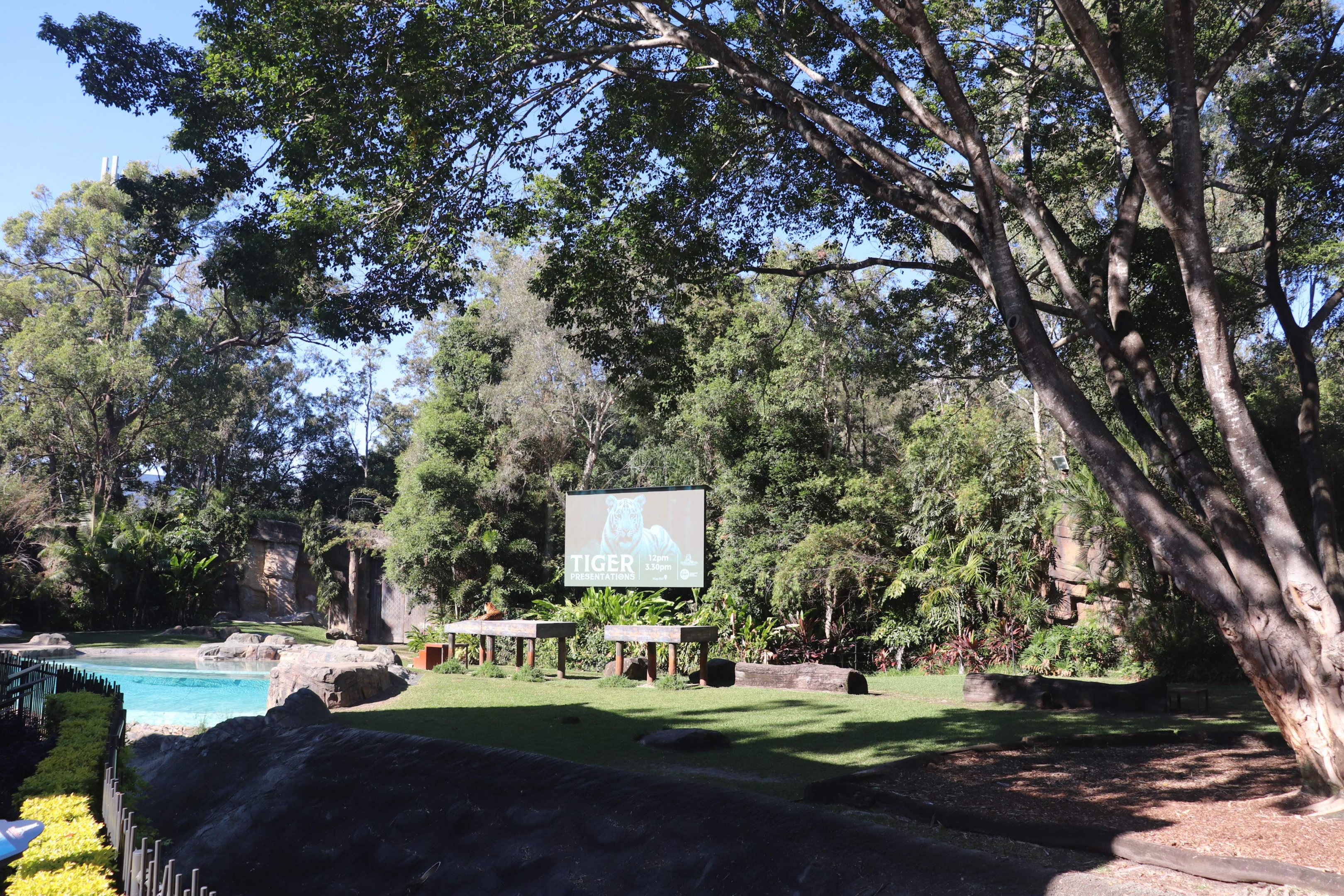 Tiger Island- Main Enclosure