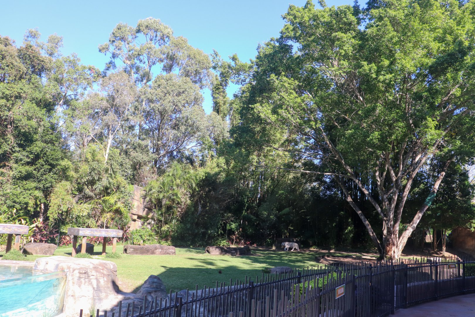 Tiger Island - Main Enclosure