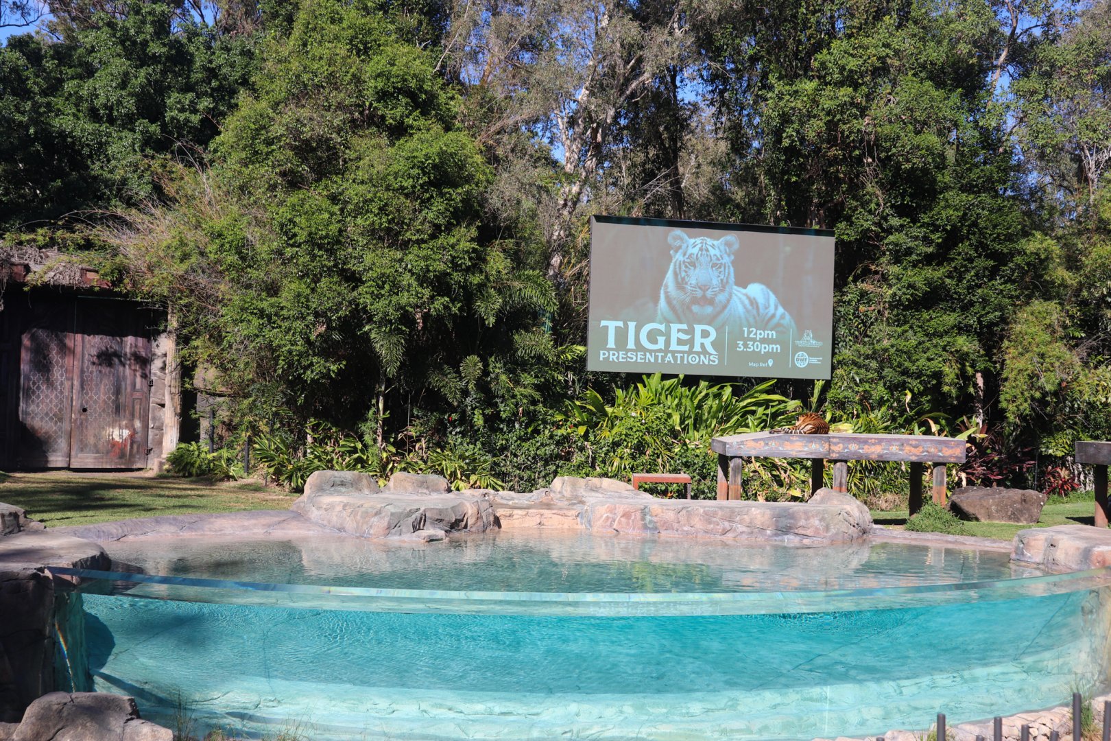 Tiger Island - Main Pool