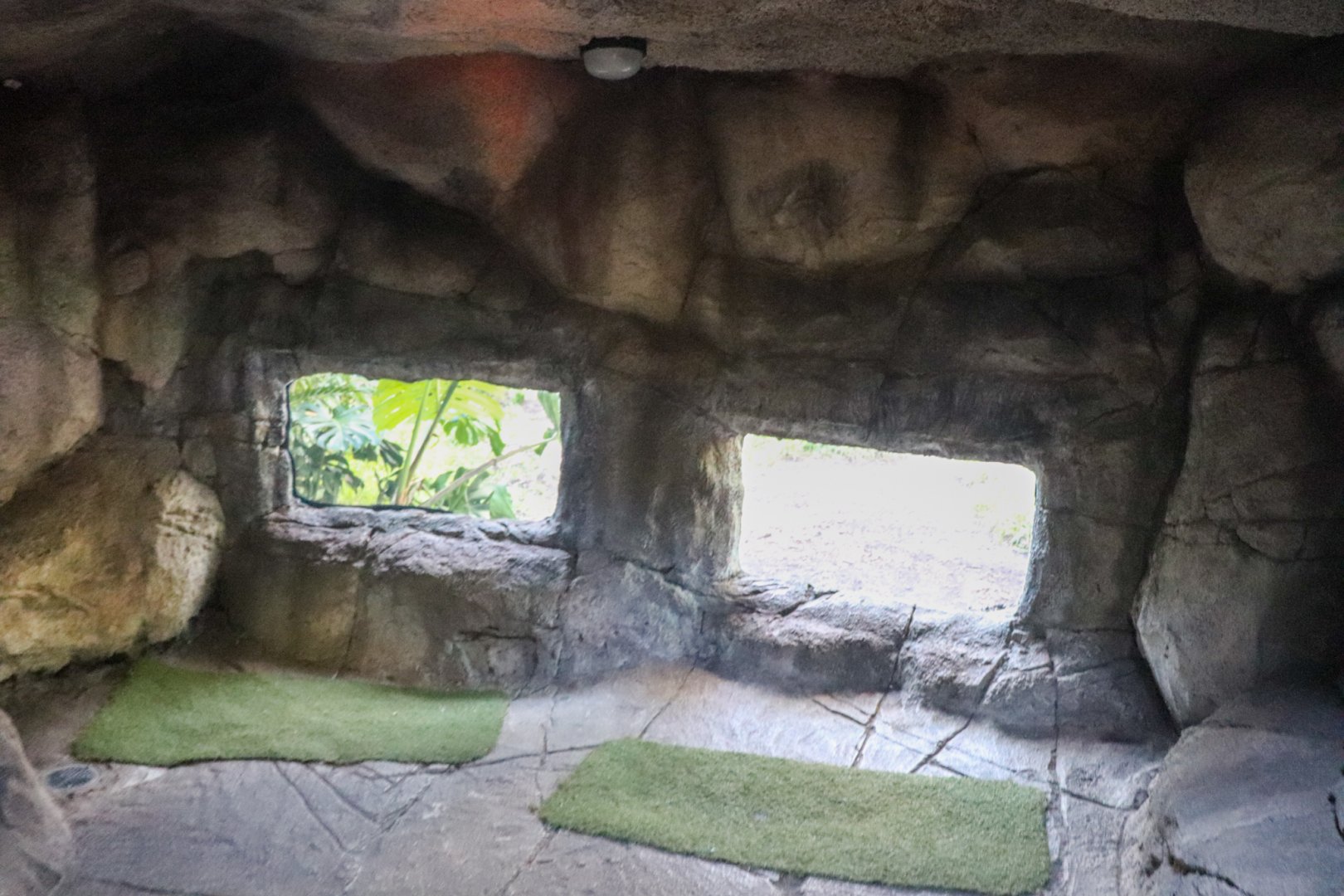 Tiger Island - 'The Lair' Enclosure Viewing Area