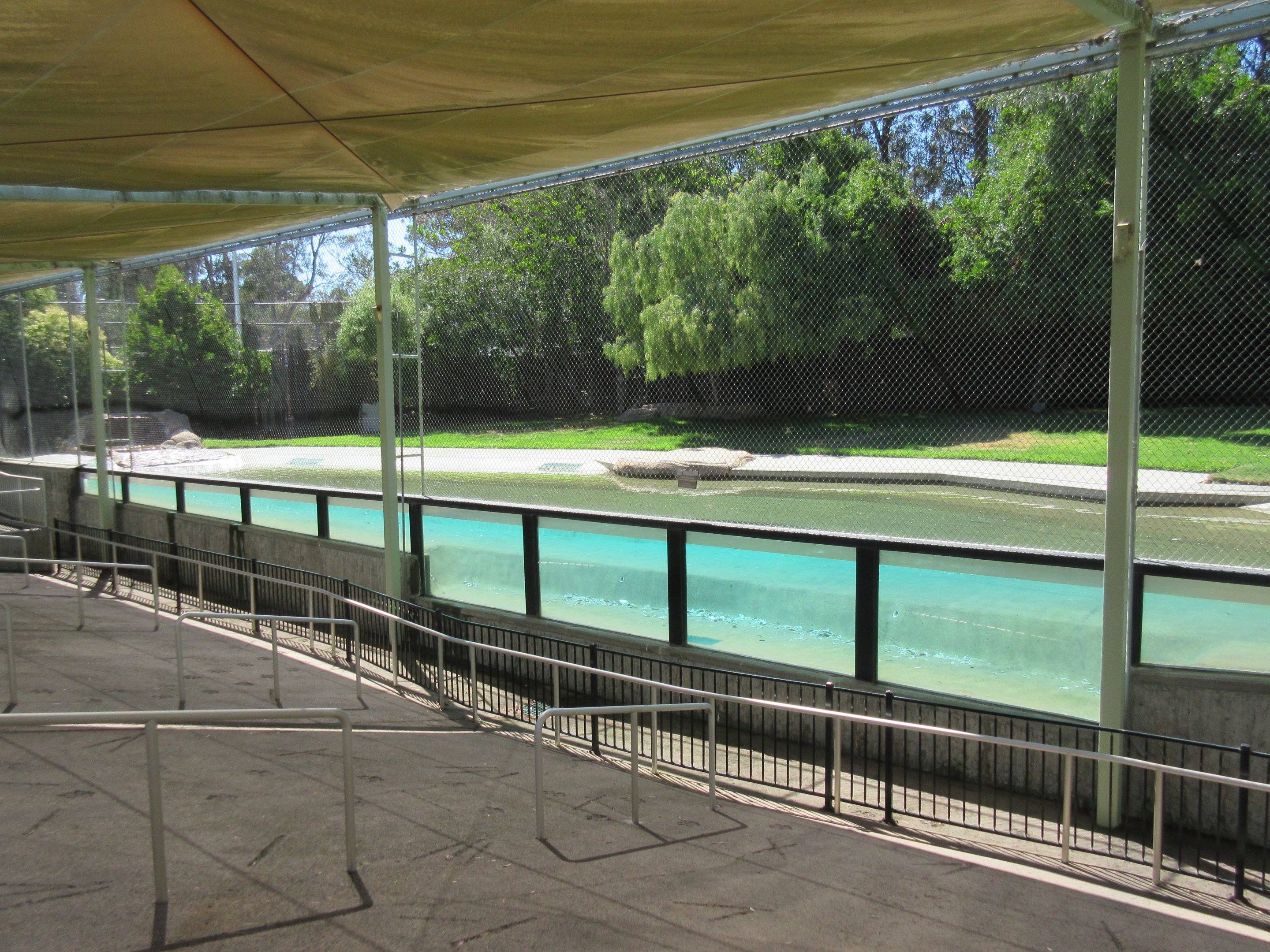 Tiger Island - Underwater Viewing Area