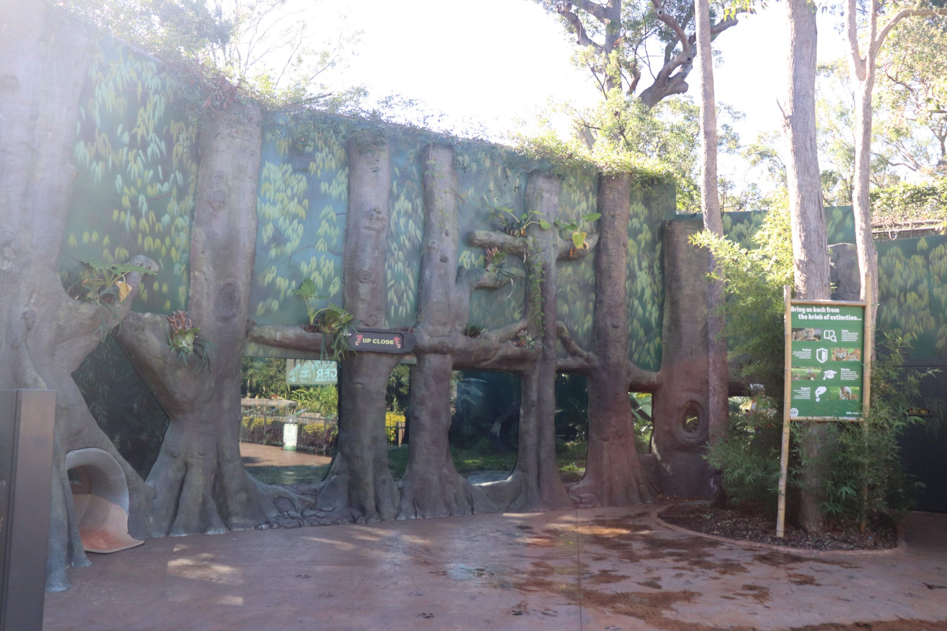 Tiger Island- 'Up Close' Enclosure