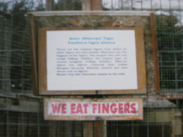 Tiger label close-up 1998.