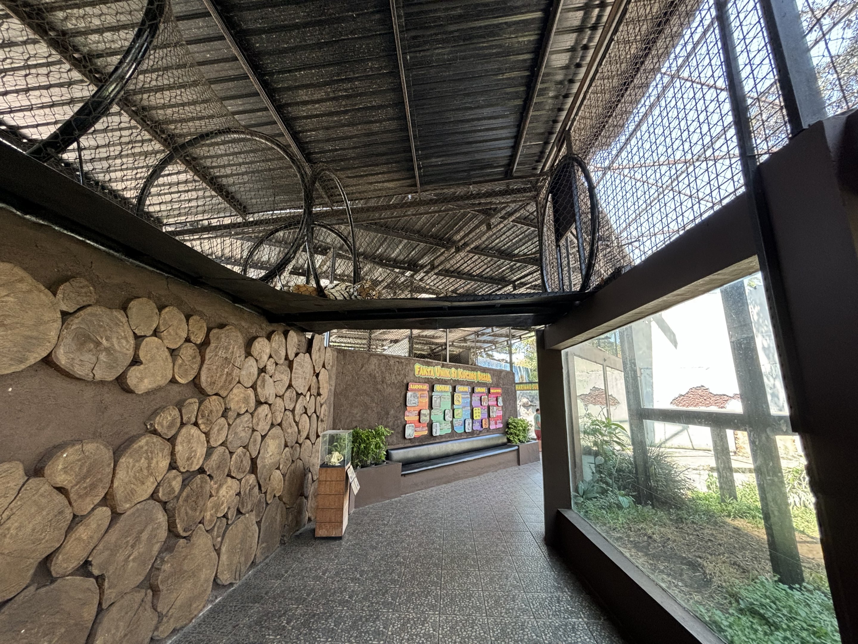 Tiger Land Overhead Walkways