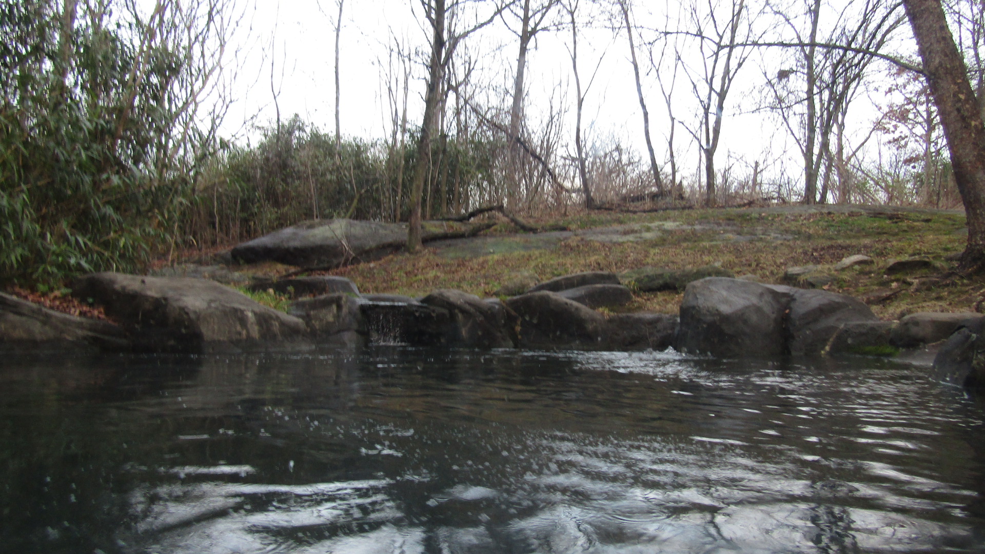 Tiger Mountain Exhibit #2
