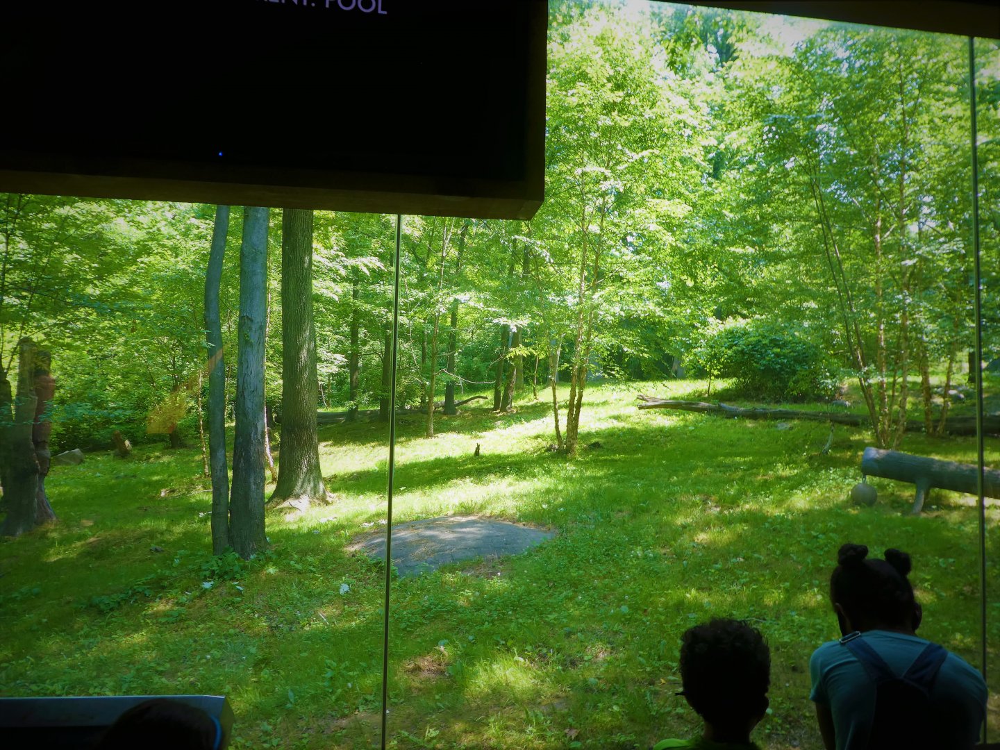 Tiger Mountain - First Tiger Exhibit