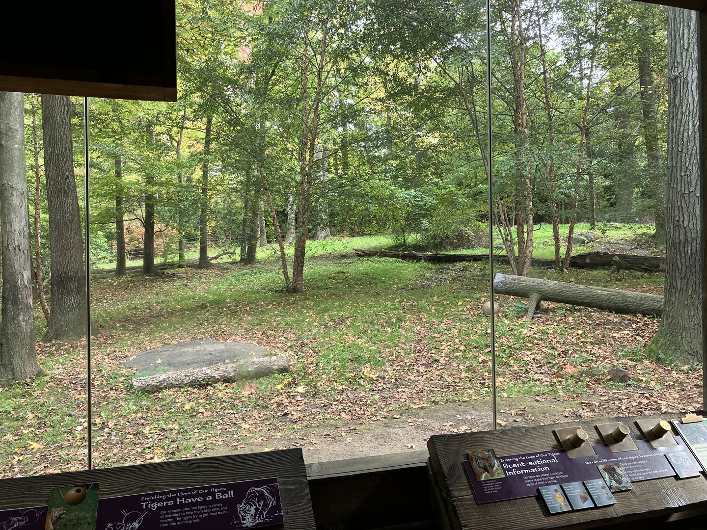 Tiger Mountain - Mainland Tiger Exhibit