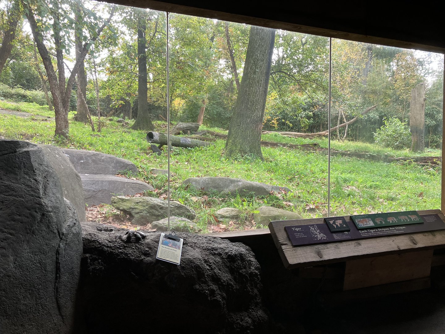 Tiger Mountain - Mainland Tiger Exhibit