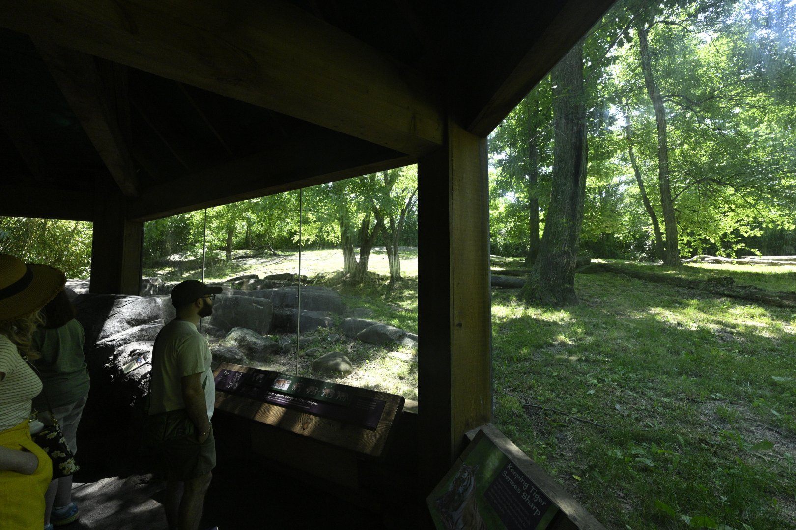 Tiger Mountain - Viewing Area and Exhibit