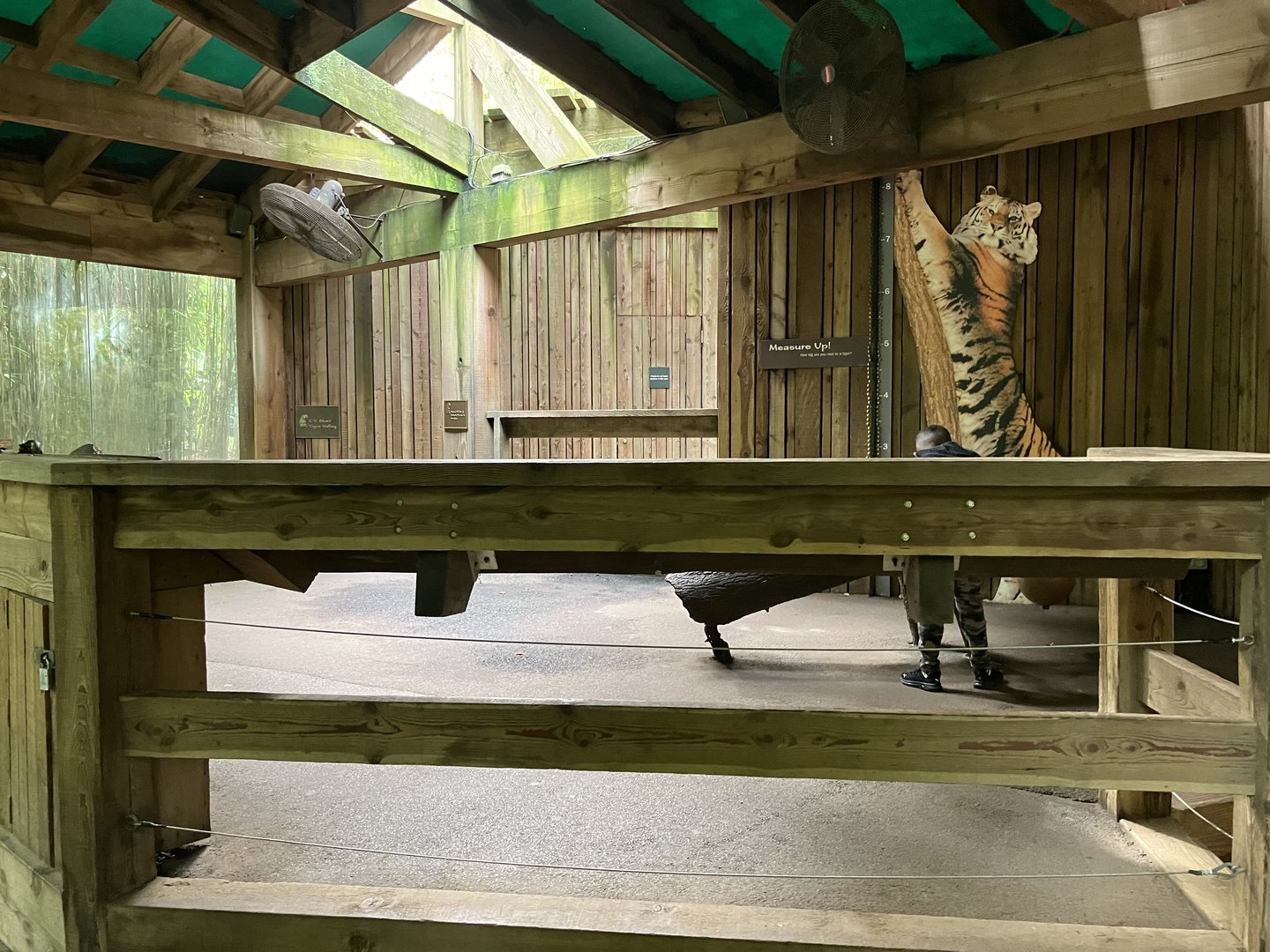 Tiger Mountain - Viewing Shelter