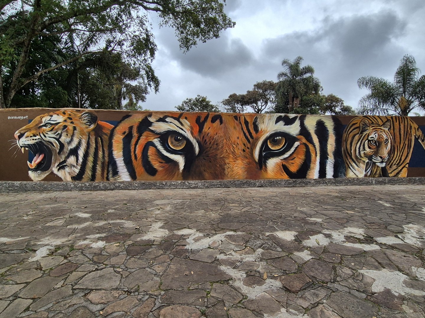 Tiger Murals