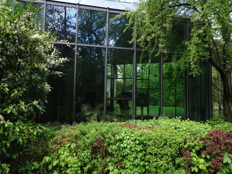 Tiger + Nocturnal House; tiger indoor enclosure