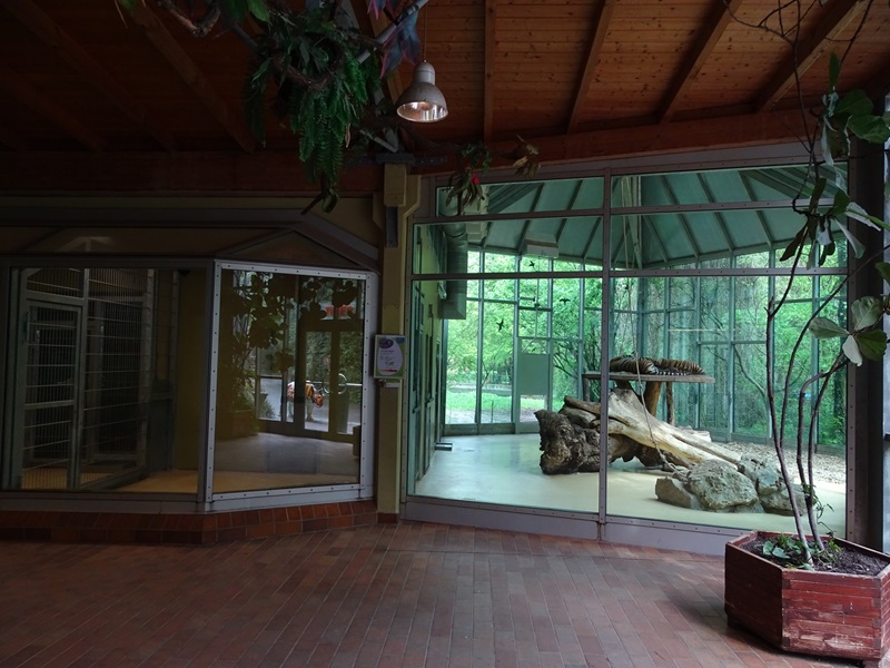 Tiger + Nocturnal House; tiger indoor enclosure