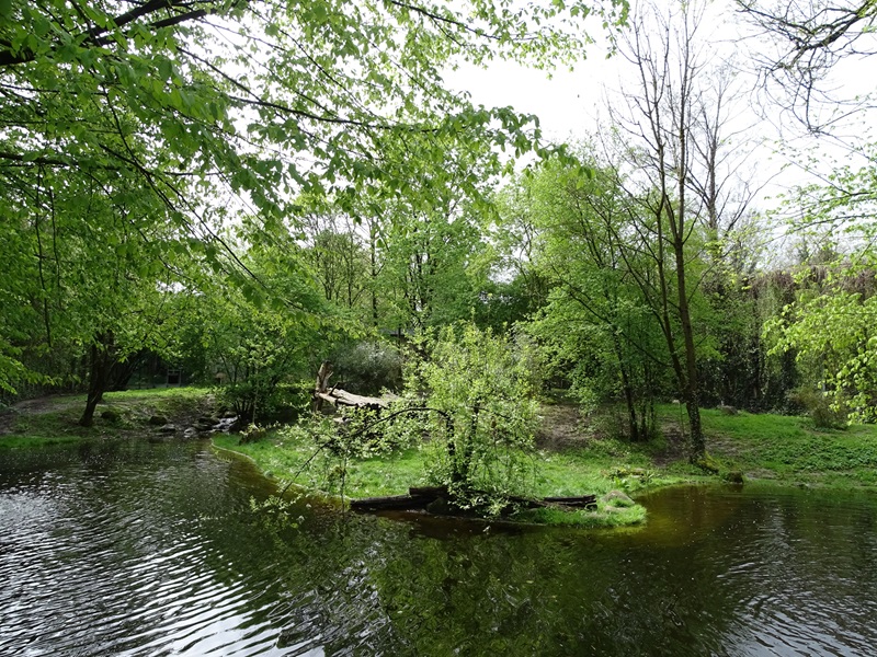 Tiger + Nocturnal House; tiger outdoor enclosure
