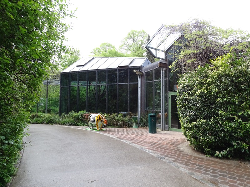 Tiger + Nocturnal House