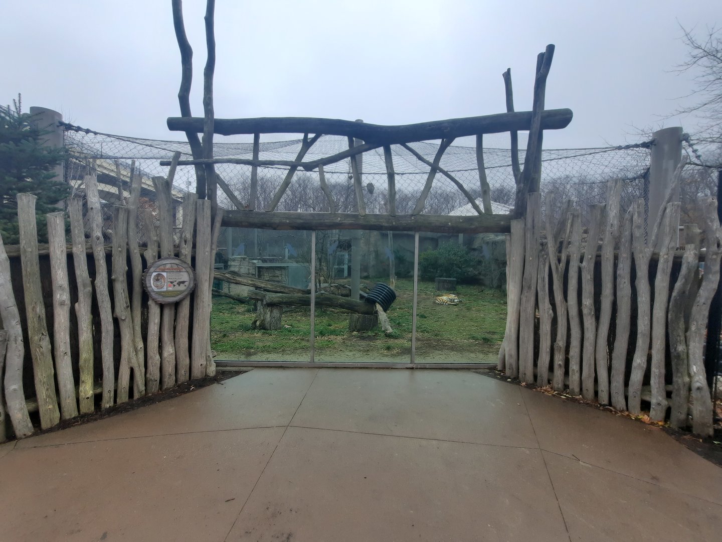 Tiger Passage Viewing 1