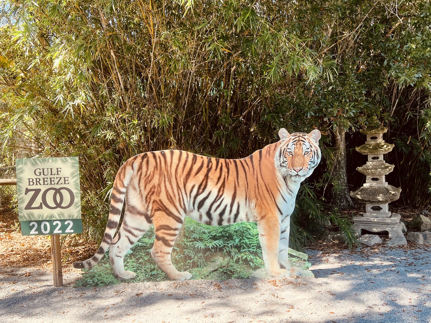 Tiger Placard